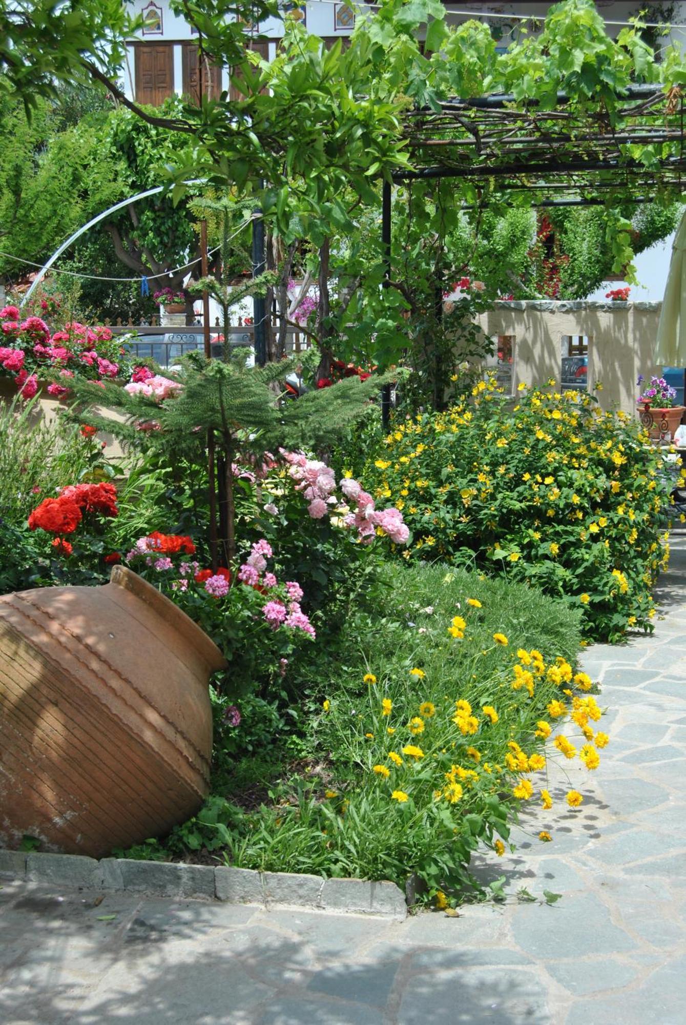 Guesthouse Machi Като-Гацеа Экстерьер фото